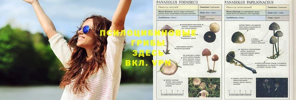 гашишное масло Тайга
