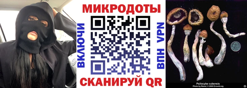 Псилоцибиновые грибы Psilocybine cubensis  Энгельс 