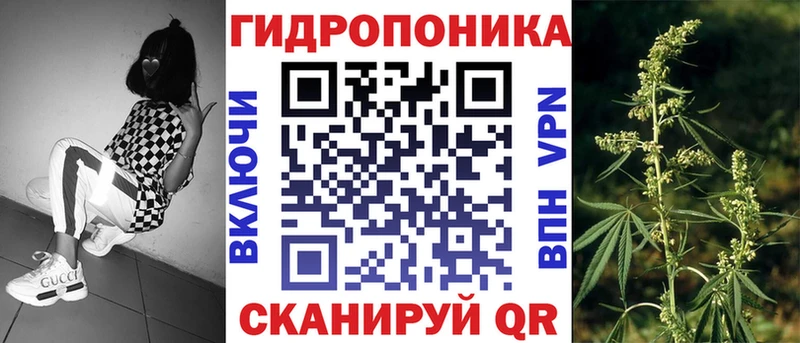 МАРИХУАНА семена Энгельс
